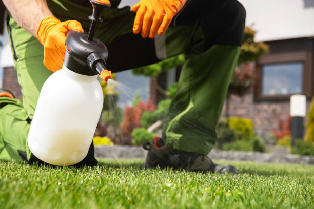 Best Commercial Pest Control Services  in Woodside, CA