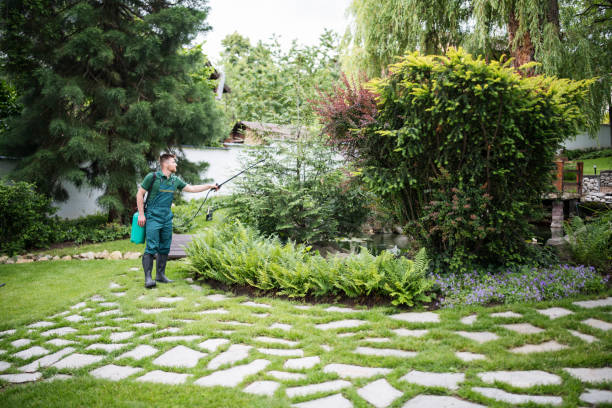 Best Emergency Pest Control  in Woodside, CA