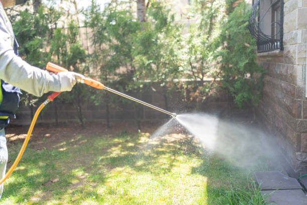 Best Affordable Pest Control Services  in Woodside, CA