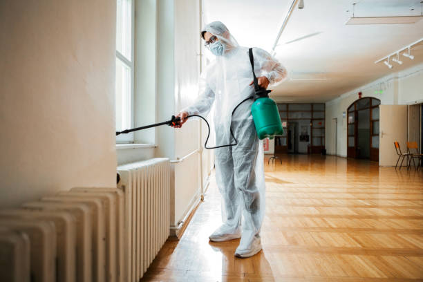 Best Bed Bug Extermination  in Woodside, CA