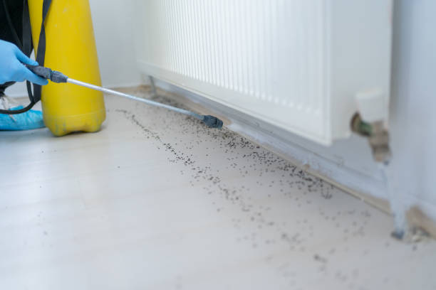 Best Best Pest Control Companies  in Woodside, CA