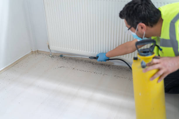 Best Rat Extermination Near Me  in Woodside, CA